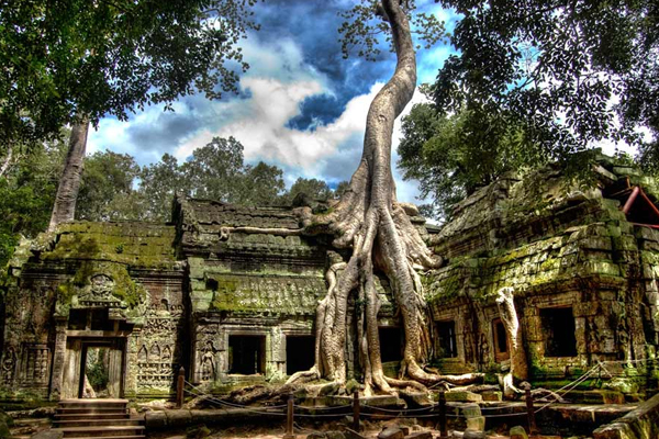 Ta Promh Temple