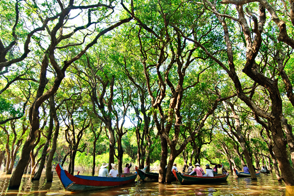 Flooded Forest
