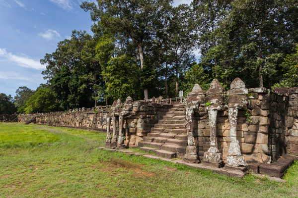 Terrace Elephant